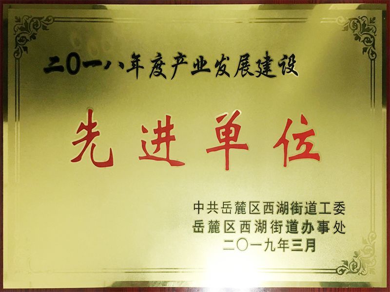 2018年度产业发展建设先进单位（中共岳麓区西湖街道工委、岳麓区西湖街道办事处）